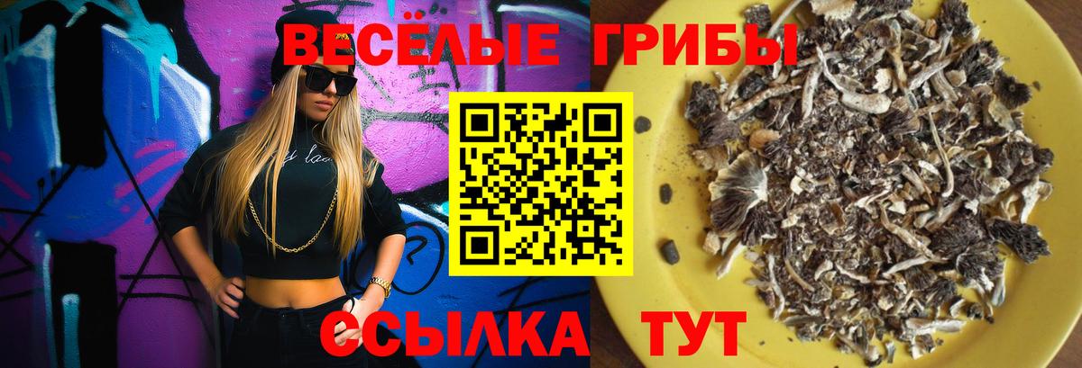 Лиски  Псилоцибиновые грибы Psilocybe  Галлюциногенные грибы мицелий  Вход с VPN 
